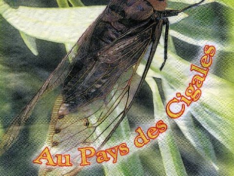 Camping l'Arlésienne - Camping Bouches-du-Rhône - Image N°37