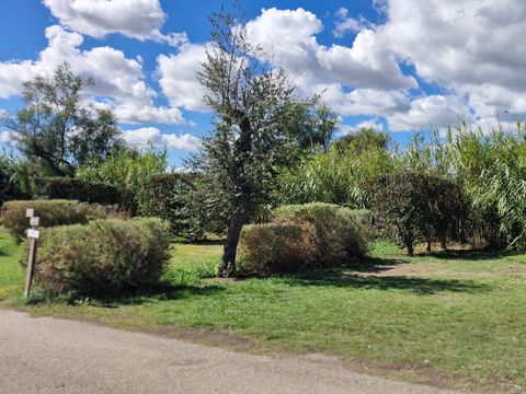 Camping Crin Blanc - Camping Bouches-du-Rhône - Image N°41