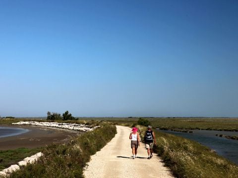 Camping Crin Blanc - Camping Bouches-du-Rhône