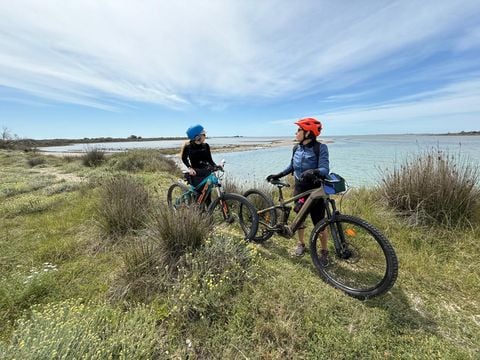 Camping Crin Blanc - Camping Bouches-du-Rhône
