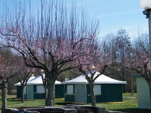 BUNGALOW TOILÉ 4 personnes - BENGALI