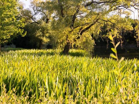 Camping Campilo - Camping Vendée - Afbeelding N°37