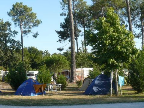 Camping Le Braou - Camping Gironda - Image N°3