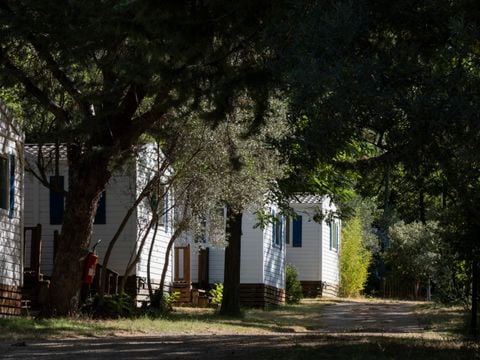 Camping maeva Escapades l'Emeraude du Verdon - Camping Var - Image N°5