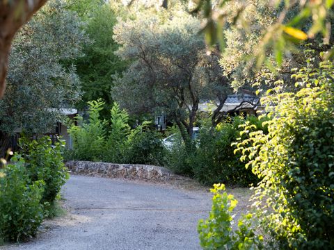 Camping maeva Escapades l'Emeraude du Verdon - Camping Var - Image N°17