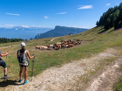 Résidence Goélia Le Sornin - Camping Isère - Image N°5