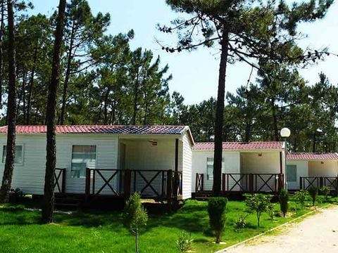 Camping Vagueira - Camping Centre du Portugal - Image N°22