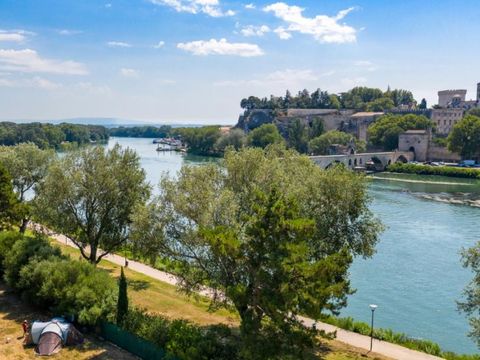 Camping du Pont d'Avignon - Camping Vaucluse - Image N°14