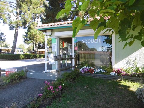 Camping Landes Azur - Camping Landes - Image N°36