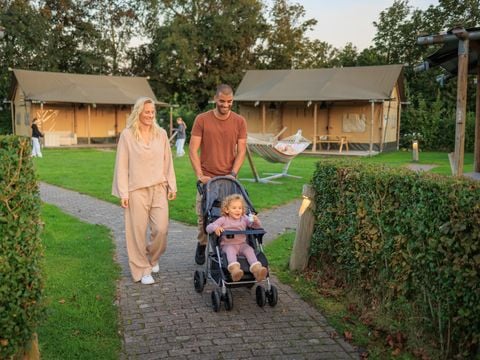 Tente en toile et en bois 5 personnes - Luxe
