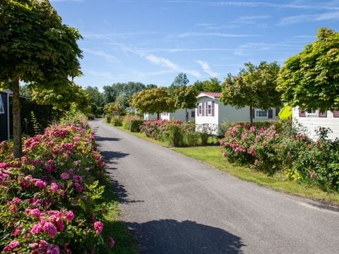 Chalet 6 personnes - Bevelander