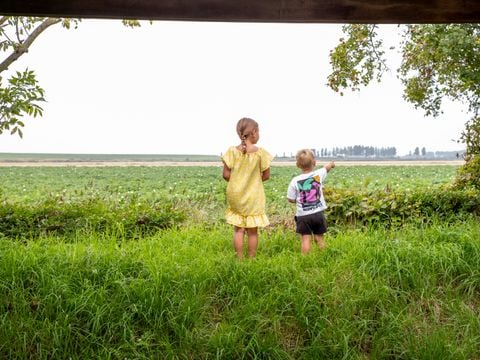 Camping Scheldeoord - Camping Borsele - Image N°25