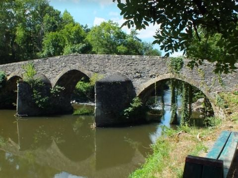 Camping Les Berges du Célé - Camping Lot - Image N°4