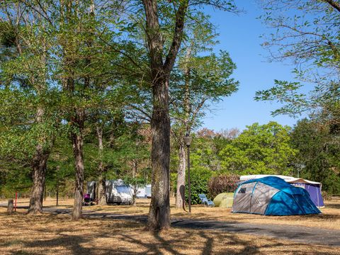 Camping de L'Ile  - Camping Cher - Image N°17