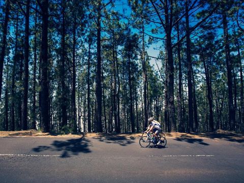 Camping Globo Barcelona - Camping Barcelone - Image N°12