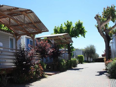 MOBILHOME 5 personnes - ALBATROS