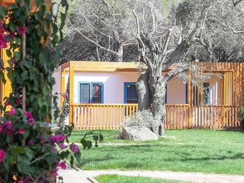 MOBILHOME 4 personnes - Zaffiro