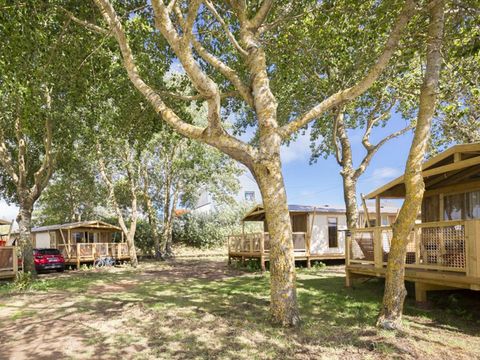 Flower Camping Les Paludiers - Camping Loire-Atlantique - Image N°26
