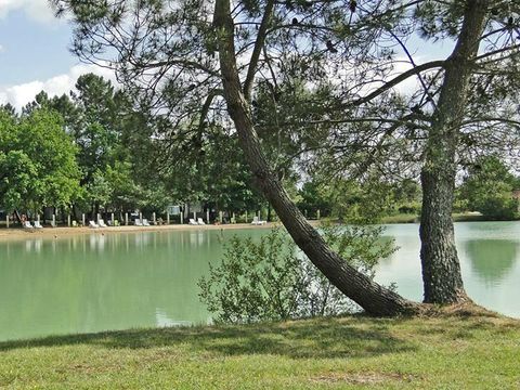 Camping Le Chêne du Lac  - Camping Gironde - Image N°25