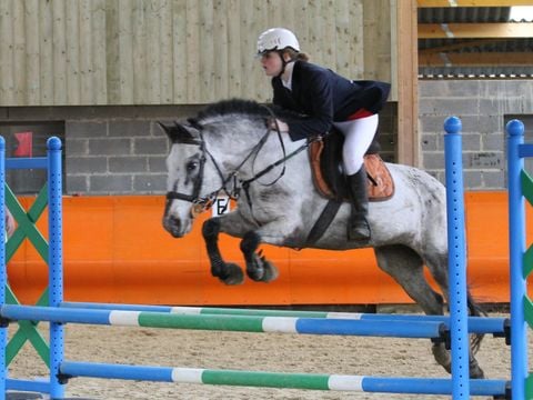 Camping Domaine du Lieu Dieu - Camping Somme - Image N°36