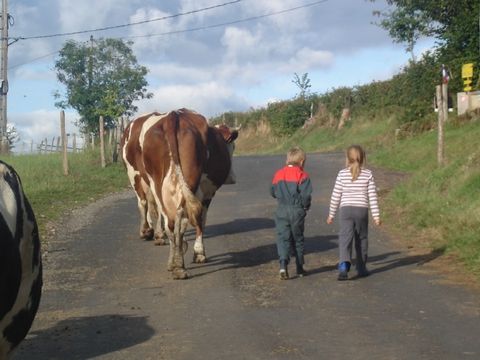 Camping L'Air du Temps  - Camping Cantal - Image N°8