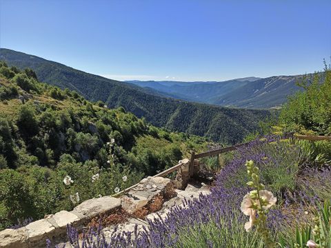 Camping Paradis - Les Relarguiers - Camping Alpes-de-Haute-Provence - Image N°16