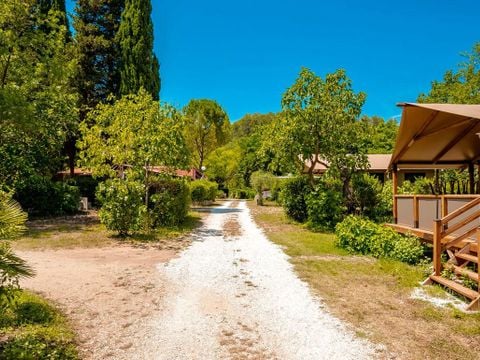 Flower Camping Les Tomasses - Camping Var - Image N°10