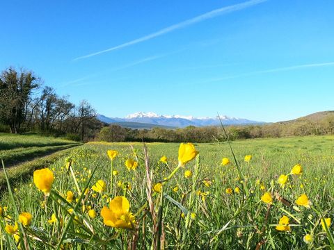 MOBILHOME 6 personnes - Vintage 2 chambres (Location de samedi à samedi du 8/07 au 26/08) 4 pers.