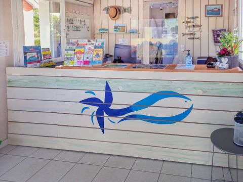 Camping Moulin des Oies - Camping Morbihan - Image N°16