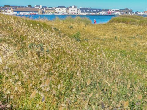 Camping Moulin des Oies - Camping Morbihan - Image N°23