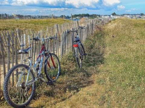 Camping Paradis Moulin des Oies - Camping Morbihan - Image N°34