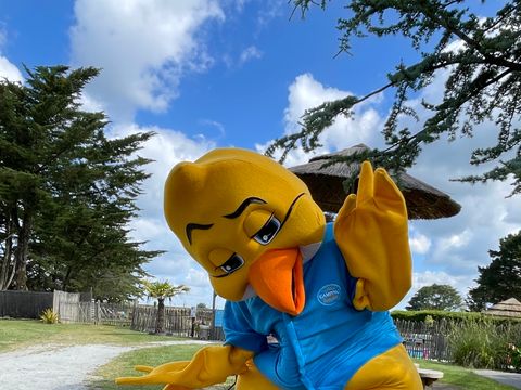 Camping Paradis Moulin des Oies - Camping Morbihan - Image N°47