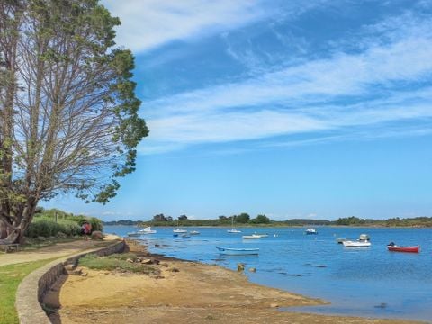 Camping Paradis Moulin des Oies - Camping Morbihan - Image N°36