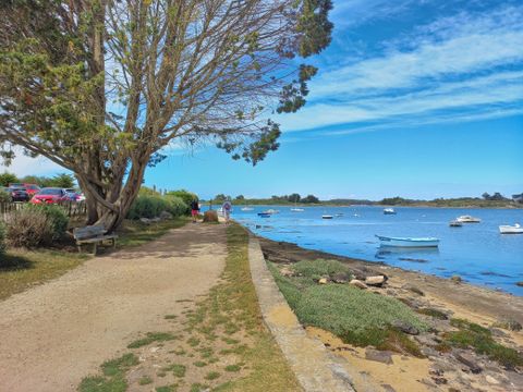 Camping Paradis Moulin des Oies - Camping Morbihan - Image N°39