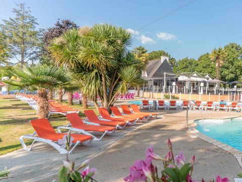 Camping Port de Plaisance  - Camping Finistere - Image N°8