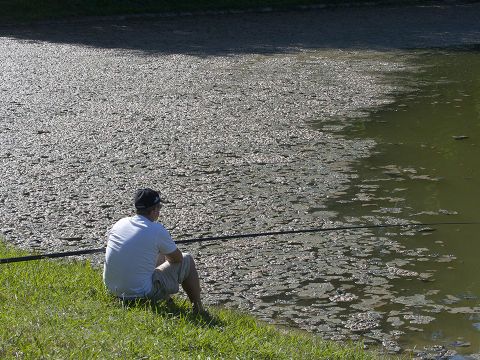 Camping Le Ruisseau des Pyrénées - Camping Pyrénées-Atlantiques