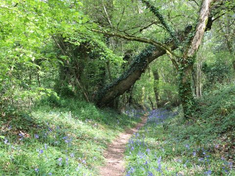 Camping Le Clos du Blavet - Camping Morbihan - Image N°39