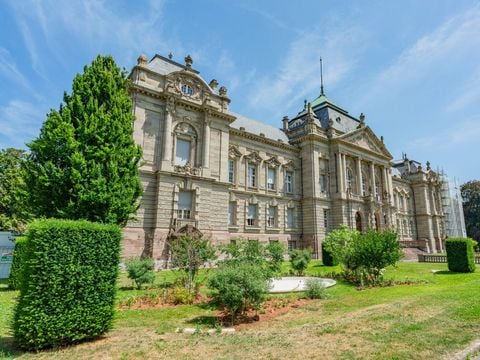 Camping L'Île du Rhin - Camping Haut-Rhin - Image N°14