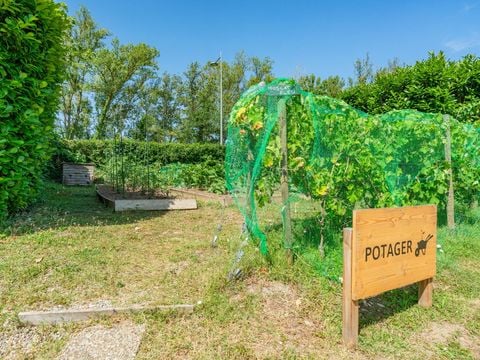 Camping L'Île du Rhin - Camping Haut-Rhin