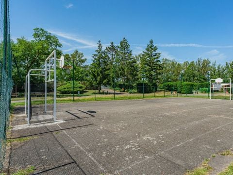 Camping L'Île du Rhin - Camping Haut-Rhin