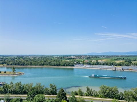Camping L'Île du Rhin - Camping Haut-Rhin - Image N°15