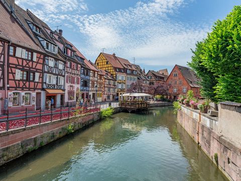 Camping L'Île du Rhin - Camping Haut-Rhin - Image N°7