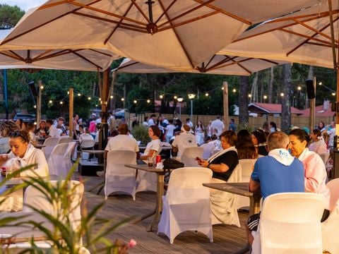 Camping Club Le Vivier 4* - MS VACANCES - Camping Landes