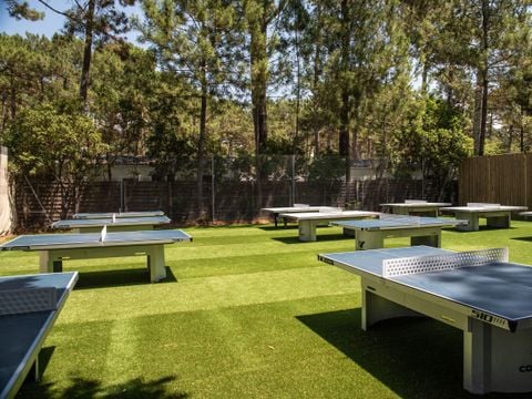 Camping Club Le Vivier 4* - MS VACANCES - Camping Landas