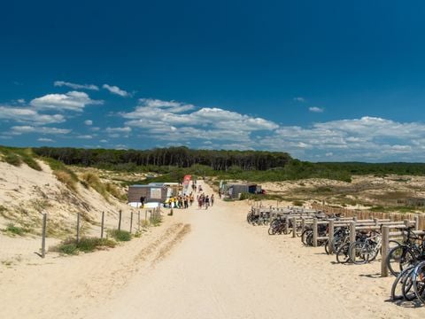 Camping Club Le Vivier 4* - MS VACANCES - Camping Landes - Image N°54