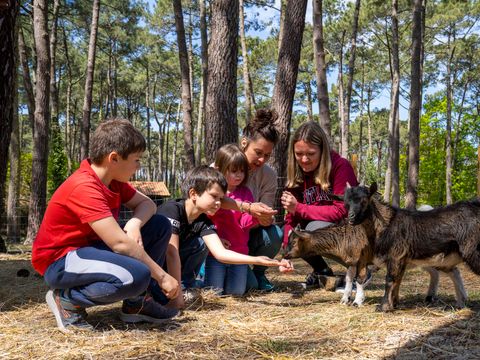 Slow Village Biscarrosse Lac  - Camping Landes - Image N°32