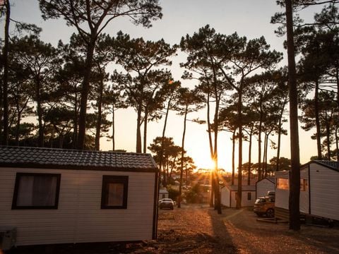 Camping Club Plage Sud 4*- MS VACANCES - Camping Landes - Image N°41