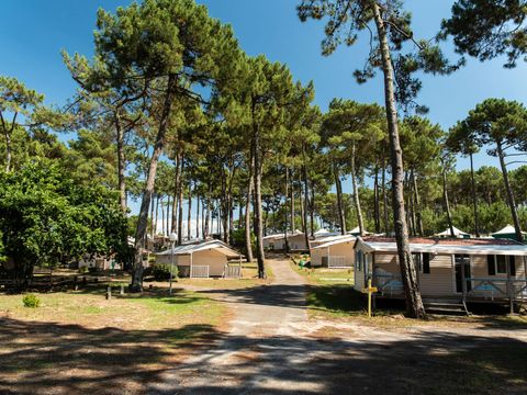 Camping Club Plage Sud 4*- MS VACANCES - Camping Landes - Image N°46