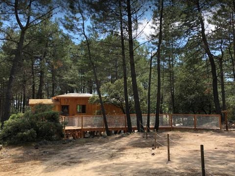 HÉBERGEMENT INSOLITE 4 personnes - CABANE PERCHEE ROBINSON 2 chambres sans sanitaires