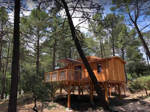 HÉBERGEMENT INSOLITE 4 personnes - CABANE PERCHEE ROBINSON 2 chambres sans sanitaires